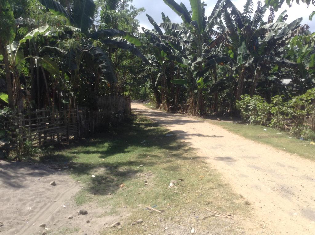 Rasti Homestay Kuta  Bagian luar foto